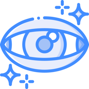vision
